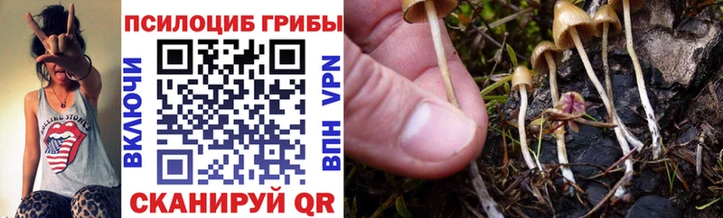 Галлюциногенные грибы ЛСД  Сланцы 